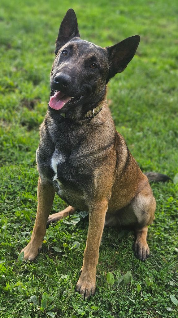 Uyden Brave Koeur Of Ice